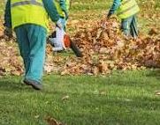 Leaf Removal - Up to 1or2 Acre.