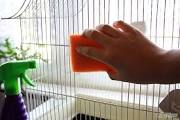 bird cage cleaning