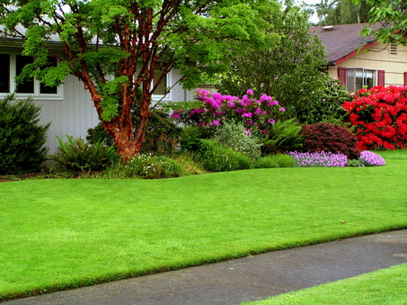 Lawn care Services
