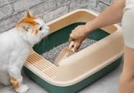 litter box cleaning