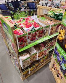 Image inside Lowes Rosenberg, TX location.