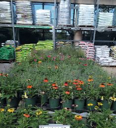 Image inside Home Depot Rancho Mirage, CA location.